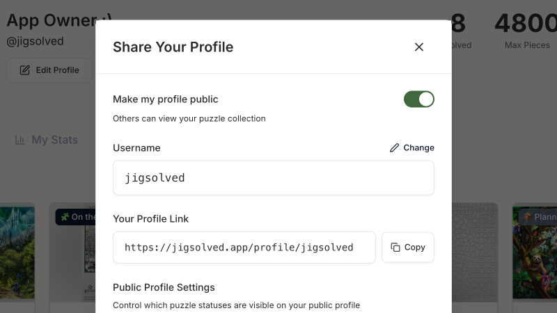 Shareable public profile feature